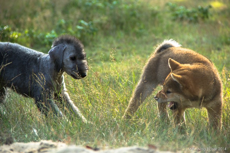 2014-07-17 Cherry & Friends-8054.jpg